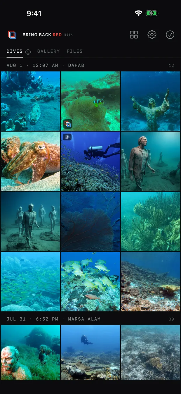 The picker, showing a dive from Dahab as a grid of twelve underwater photographs.