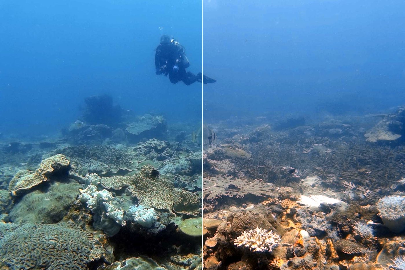 A reef photographed from above with a diver far out in the water beyond it, uncorrected on the left and restored on the right.