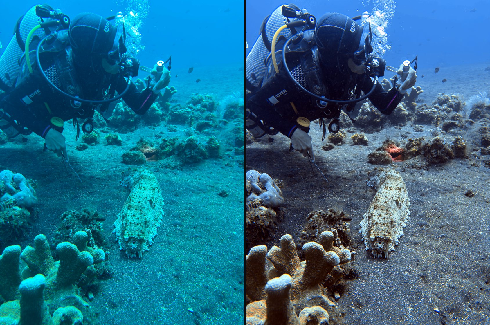A diver photographing a crocodilefish on sand, the uncorrected original on the left and the restored color on the right.